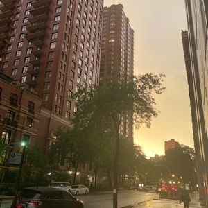 Meet your Posher, Renee